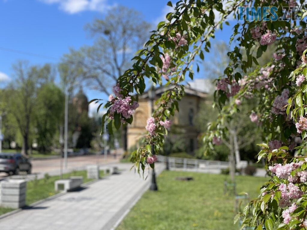 Житомир: весна – у розквіті (ФОТОРЕПОРТАЖ)