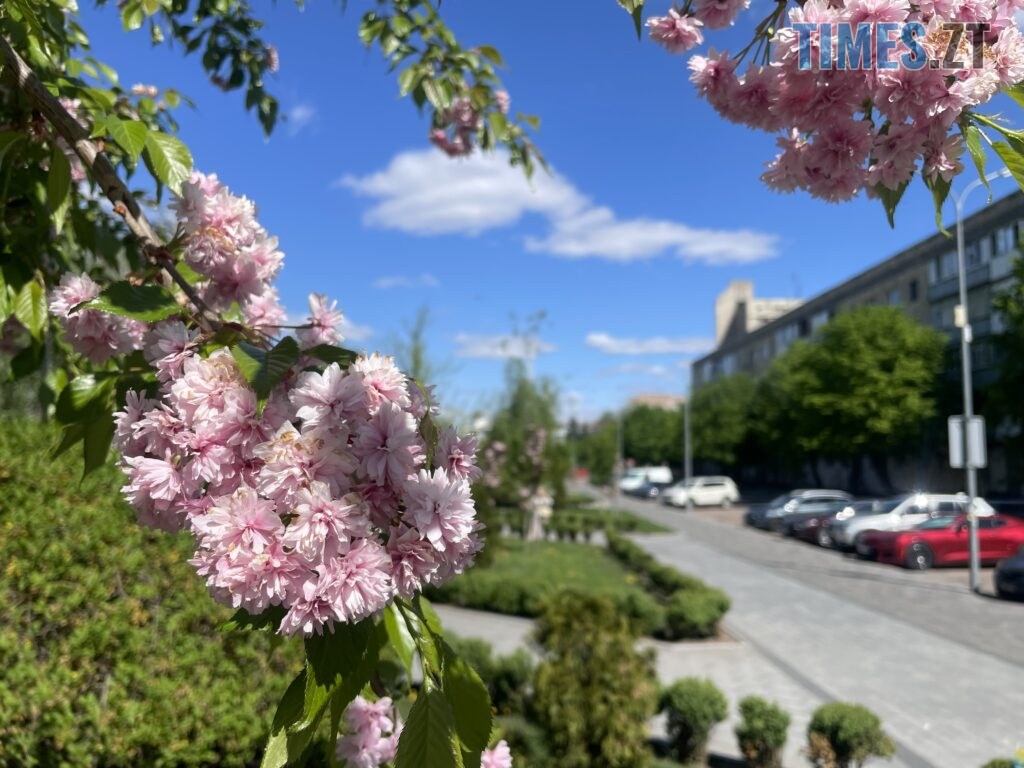 Житомир: весна – у розквіті (ФОТОРЕПОРТАЖ)