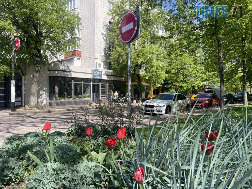Житомир: весна – у розквіті (ФОТОРЕПОРТАЖ)