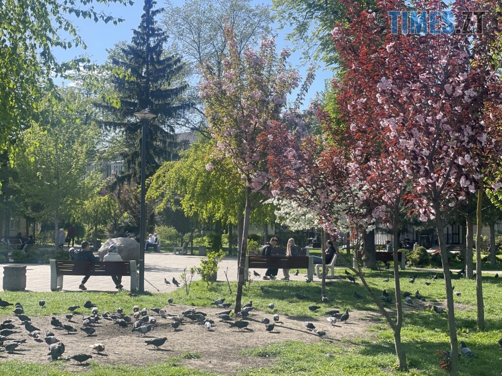 Житомир: весна – у розквіті (ФОТОРЕПОРТАЖ)