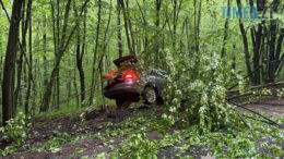 На Житомирщині з вини п'яного водія постраждало двоє дівчат