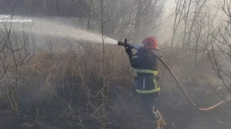 Житомирщина у вогні: за добу в регіоні вигоріло 5 га сухої рослинності