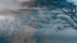 На Житомирщині оголошено штормове попередження