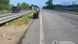 На Хорошівщині правоохоронці затримали водія, який збив людину і втік з місця ДТП