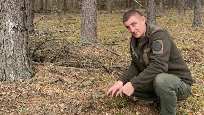 На Коростенщині невідомили незаконно зрубали понад 110 дерев
