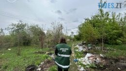 Вздовж дороги на міський полігон у Житомирі екологи знову виявили стихійні сміттєзвалища