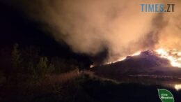 Пожежа на міському сміттєзвалищі у Житомирі: була загроза перекидання полум'я на ліс та житлові будинки