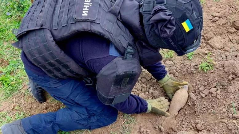 На Житомирщині на присадибній ділянці виявили 4 небезпечні боєприпаси