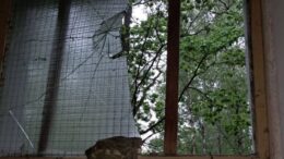 У житомирському Гідропарку група підлітків пошкодила майно громади: наразі вандалів розшукують правоохоронці
