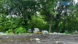Вздовж дороги на Житомирський полігон твердих побутових відходів знову з'явилися стихійні сміттєзвалища