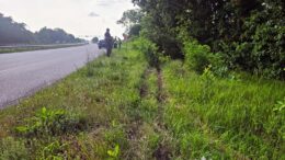У ДТП на Хорошівщині постраждало двоє людей