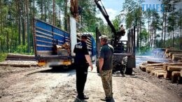 На Житомирщині правоохоронці передали конфісковану деревину на потреби ЗСУ