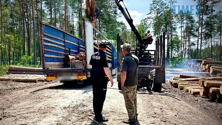 На Житомирщині правоохоронці передали конфісковану деревину на потреби ЗСУ