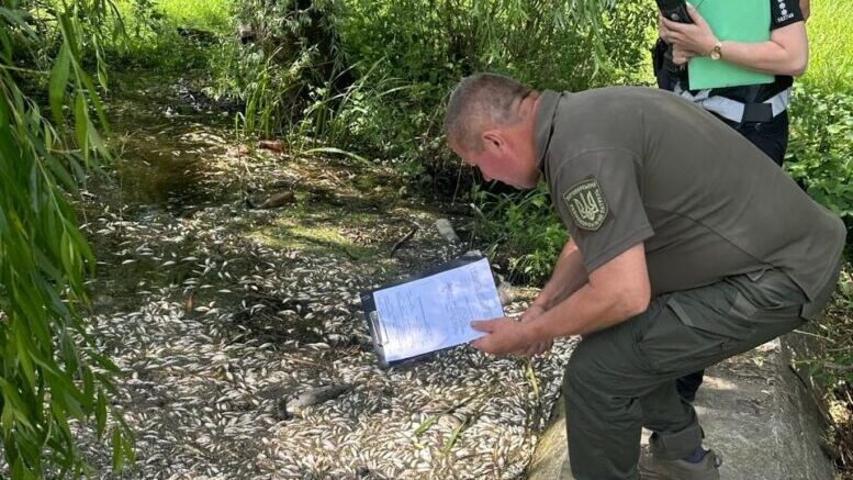 На Любарщині екологи виявили масовий мор риби: збитки склали понад 3,4 млн грн