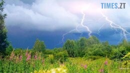 Тепло та грозові дощі: якою буде погода цього тижня на Житомирщині