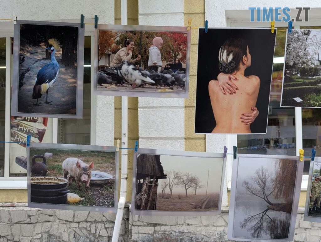 Фотосушка та «День для дитини»: як Житомир відзначив День батька (ФОТО)