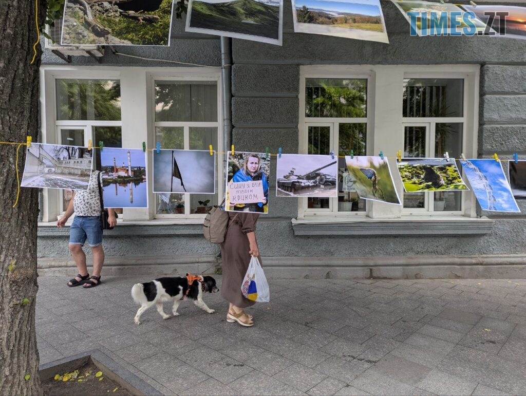 Фотосушка та «День для дитини»: як Житомир відзначив День батька (ФОТО)