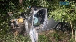 Смертельна аварія поблизу Малина: поліція з'ясовує деталі