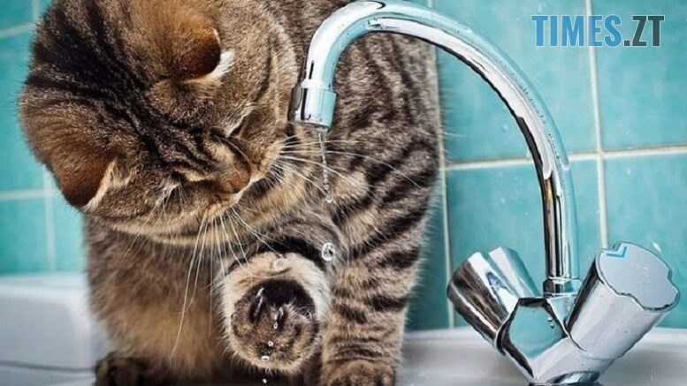 Через ремонт на водогоні без води лишаться мешканці ряду сіл навколо Житомира та однієї з вулиць міста