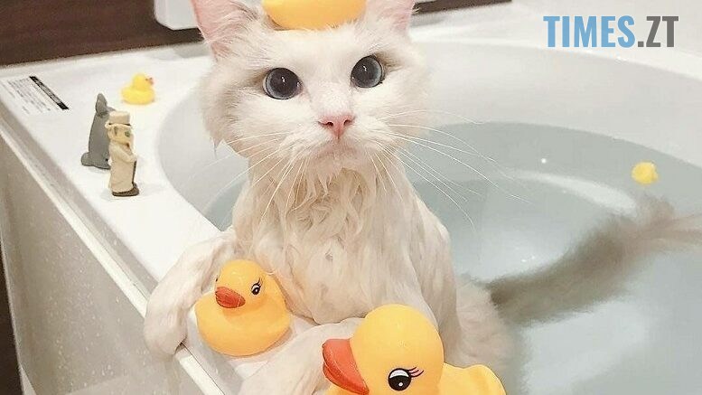 Новини Житомирщини