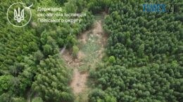 Екологи підрахували розмір шкоди нанесеної незаконною порубкою на Коростенщині