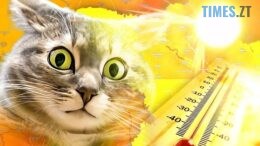 Незначне похолодання та спека до +40°С: які погодні сюрпризи готує нам друга половина липня