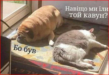 В Україні почався сезон кавунів: найсмішніші меми тижня