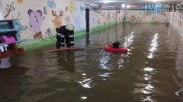 Повалені дерева та затоплені городи та будинки: у вихідні Житомирщину охопила негода