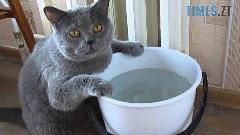 Мешканців Польової у Житомирі закликають зробити запаси води