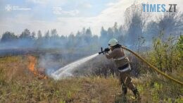 Внаслідок загоряння сухостою на Коростенщині мало не зайнялися житлові будинки