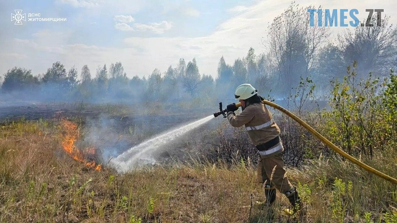 Внаслідок загоряння сухостою на Коростенщині мало не зайнялися житлові будинки