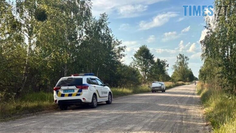 У ДТП на Звягельщині постраждав чоловік