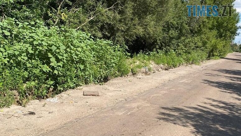 Екологи закликають містян не створювати стихійних сміттєзвалищ вздовж автошляху до Житомирського полігону ТПВ