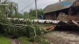 Грозові дощі та шквальний вітер наробили лиха на Житомирщині