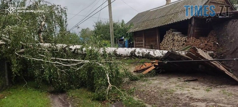 Грозові дощі та шквальний вітер наробили лиха на Житомирщині