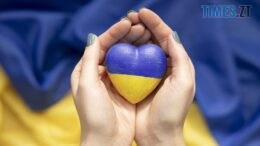 житомир новини