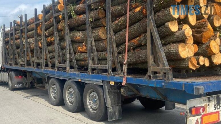 Лише за місяць правоохоронці виявили на автодорогах Житомирщини 49 випадків порушення правил перевезення лісопродукції