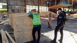новини житомирської області