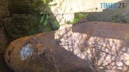 У Житомирському районі лісники виявили два небезпечні боєприпаси
