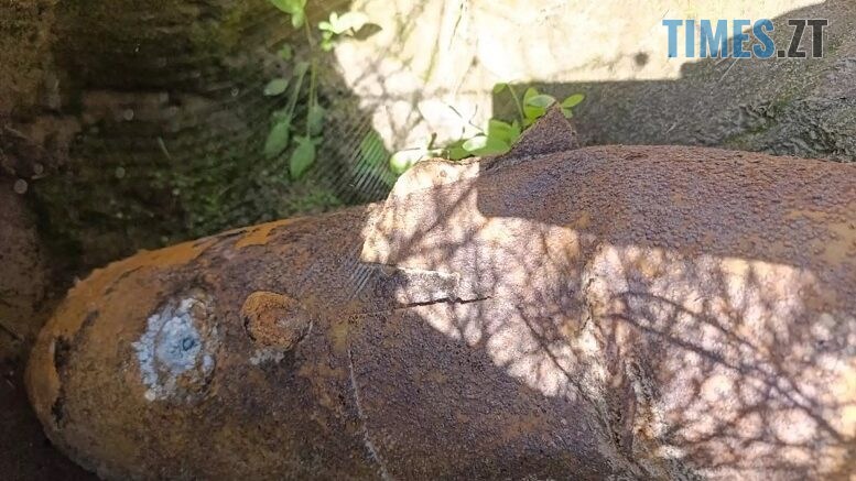 У Житомирському районі лісники виявили два небезпечні боєприпаси