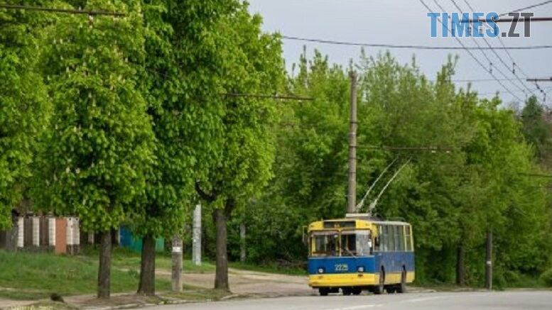 житомир новини