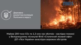 останні події в житомирі