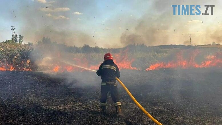 житомир новини