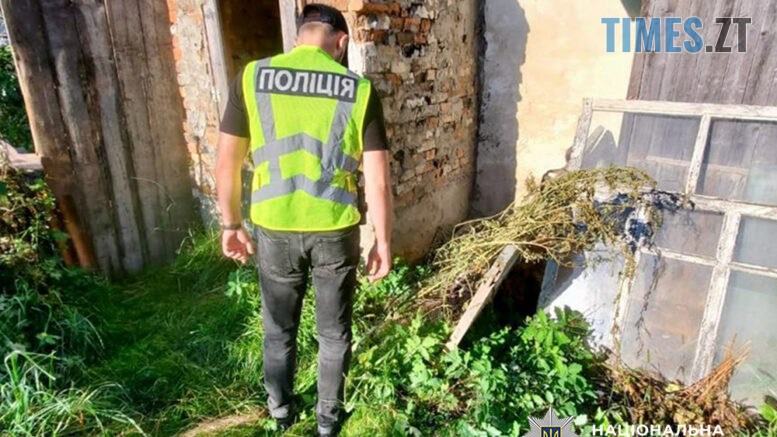 житомир новини