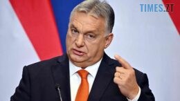 житомир новини
