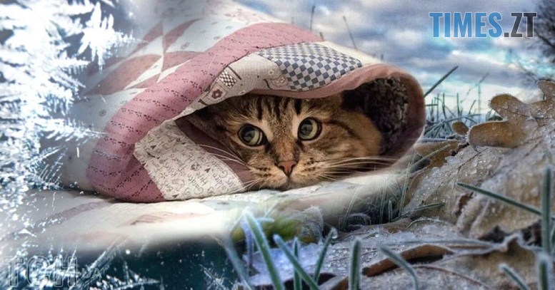 новини у житомирі