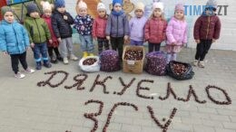 житомир новини