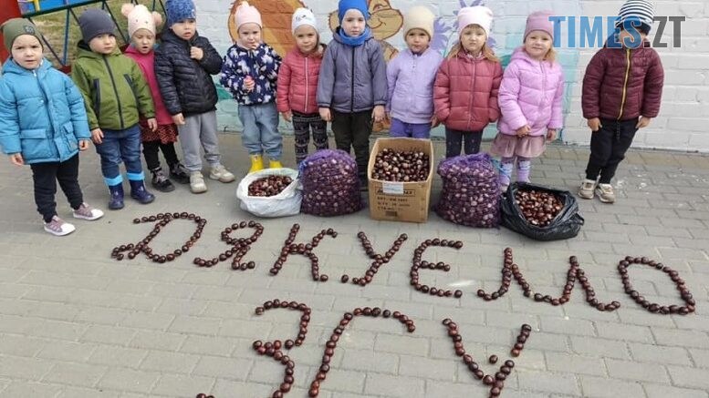 житомир новини