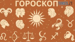 житомир новини