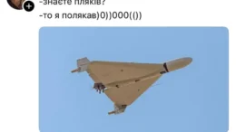 житомир новини
